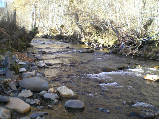 Río de Orallo