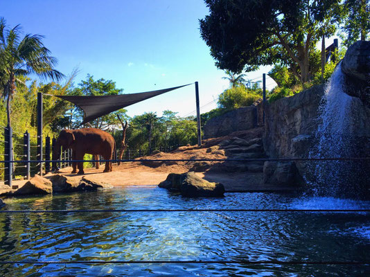 Sydney Zoo, New South Wales