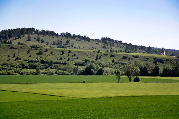 Wacholderheiden im Landkreis Eichstätt, Bayern. Foto: Achim Graf