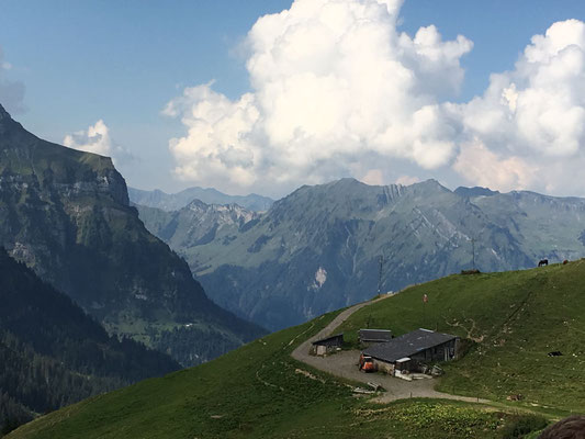 Der Weg über Sinsgäuer Schonegg mit Blick Richtung Oberrickenbach