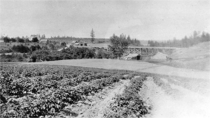 Forker Road Bridge, 1915 (built in 1905, torn down in 1922) View includes the blacksmith shop, Tony Spaeth’s home, and the General Merchandise Store (burned August 1920)