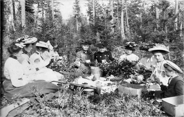 Picnic 1903: Left to right: Bertha (Johnson) McCabe, Pearl Munger, baby Bernice, Hildur Kronquist, Matilda Kronquist, Matilda Johnson, Mrs. Broberg, May Lind Dill, Mary Johnson, Hazel Johnson, Violet Johnson (Pipgras)