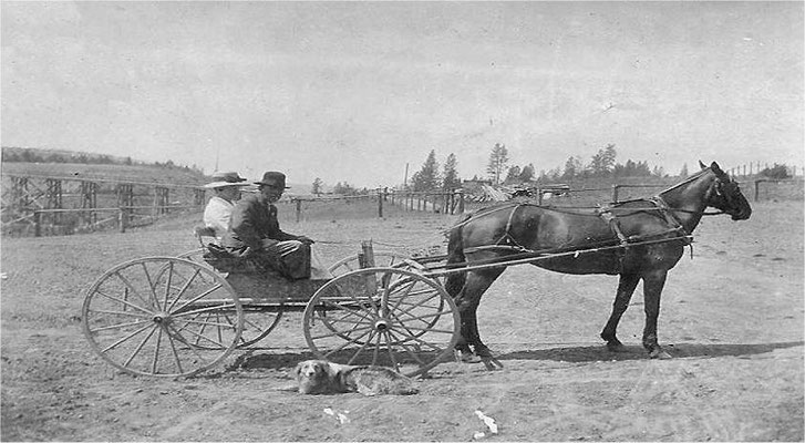 1922: The Beldens rented an apple horse from the Johnson family (notice the old bridge on Forker Road – built in 1904-1905)