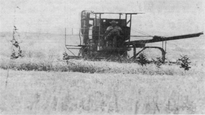 Foothills “Roots”:  Harvesting, Leo ?, Aug 1974