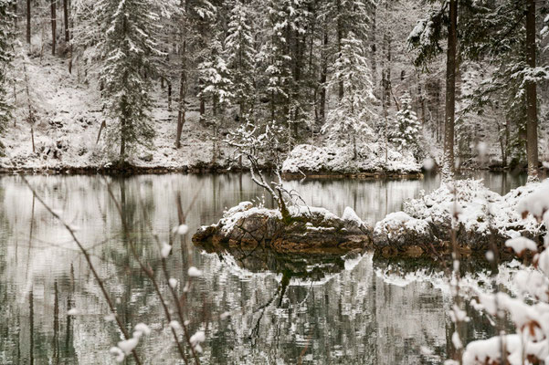 #münchen #garmisch #garmisch-partenkirchen #pflegersee   #rissersee #badsee #eibsee #wedding #love #bayern #standesamt #heiraten #hochzeit #muenchen #alpen #alpenvorland 