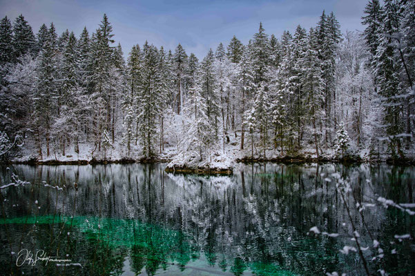 #münchen #garmisch #garmisch-partenkirchen #pflegersee   #rissersee #badsee #eibsee #wedding #love #bayern #standesamt #heiraten #hochzeit #muenchen #alpen #alpenvorland 