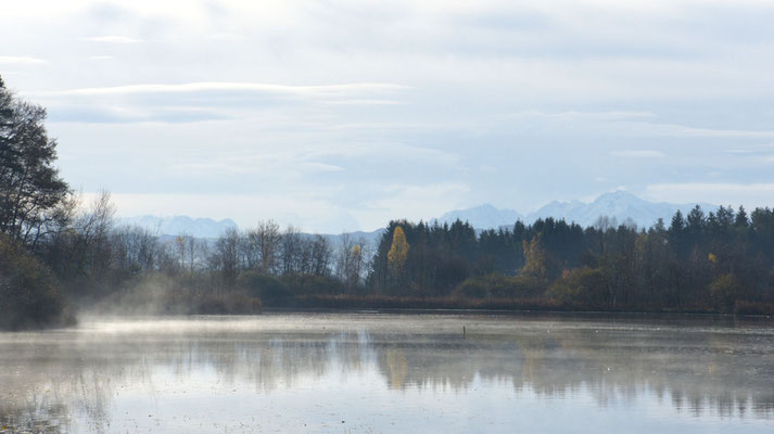 Am Heratingersee