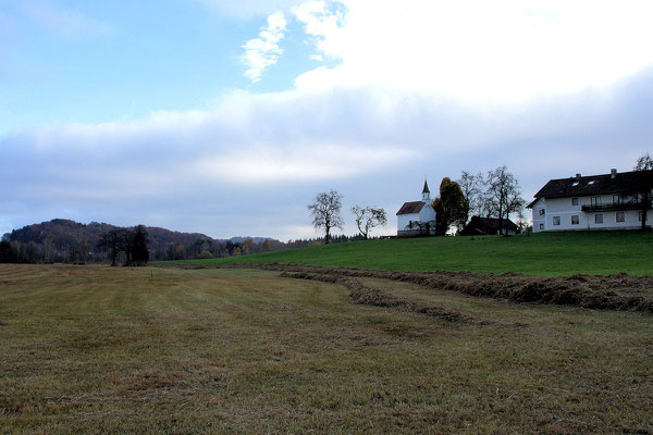 Rundwanderweg Ibmer Moor