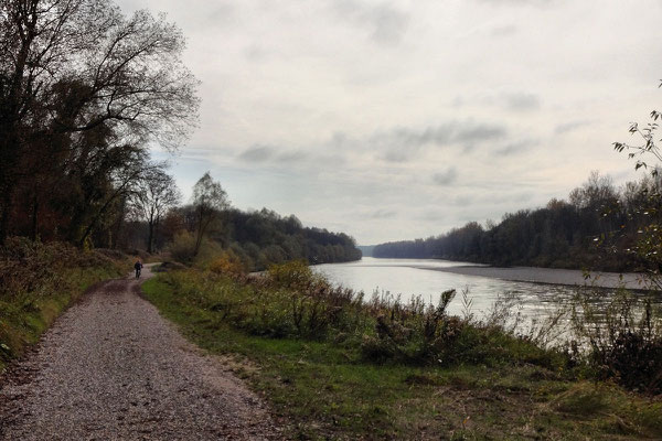 Moorseenradtour an der Salzach (Teilstück Tauernradweg)