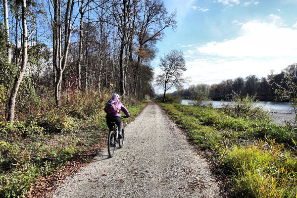 Ibmer Moorweg an der Salzach (Teilstück Tauernradweg)