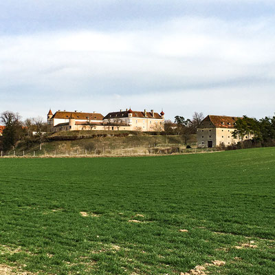 Schloss Weyerburg im gleichnamigen Ort Weyerburg bei Hollabrunn