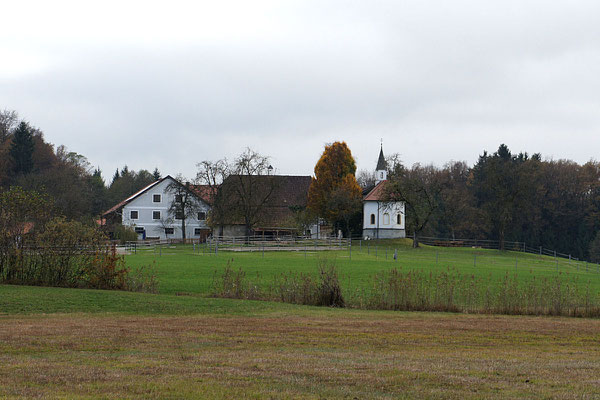 Rundwanderweg Ibmer Moor