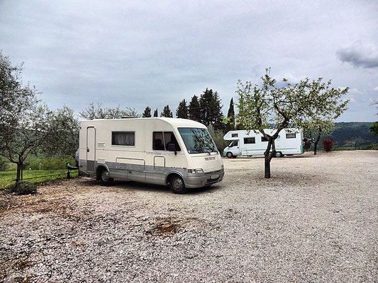 Stellplatz Motovun