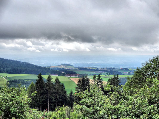 Blick ins Mühlviertel