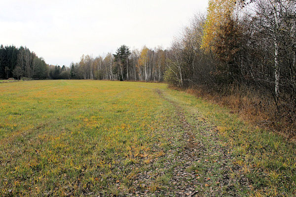 Rundwanderweg Ibmer Moor