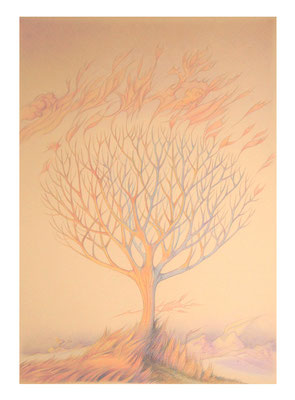 "Fiery world" - Color pencils study - Arches Fine Art paper 34 x 50 cm
