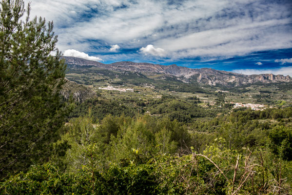 Bernia