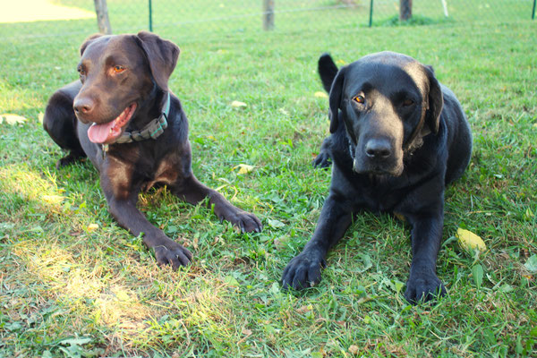 die 2 Hofdamen Lucy und Bonnie