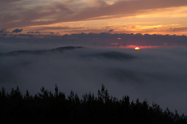 Sonnenaufgang am Apfelberg / Spessart