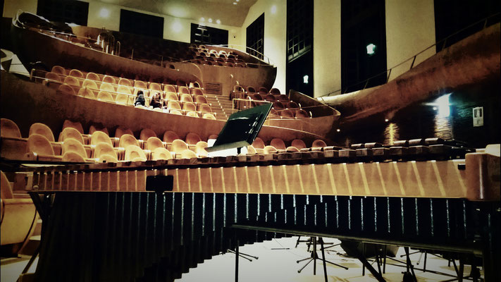 Cremona Auditorium Arvedi, Museo del Violino