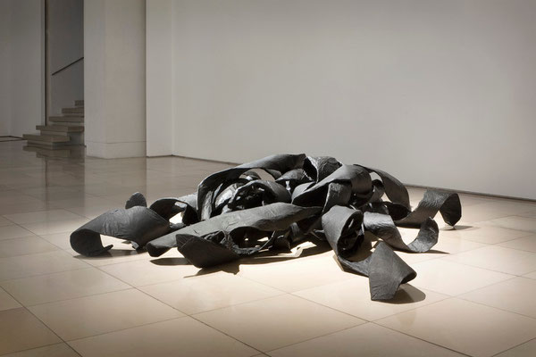 Monika Humm seaweed 4, Rauminstallation, Galerie der Künstler, München 2011
