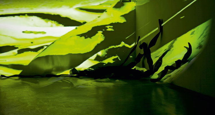 Monika Humm Rauminstallation seaweed, Große Rathausgalerie, KV Landshut 2012