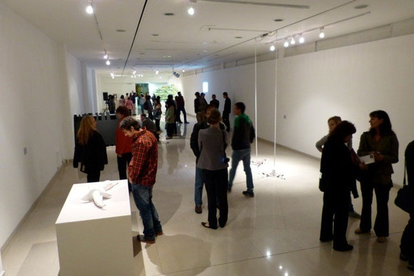 Ausstellungseröffnung Pangaea, am 5.3.2013, Arte Actual, Quito, Ecuador