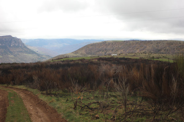 Ecobuage sur lande abritant plusieurs nichées de busards en zone coeur de Parc National (2015)