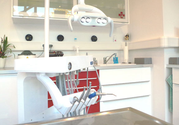 Dental-Einheit (Foto: Tierärztin Svea Lucas)