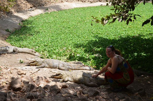 Kachikally Crocodile Pool in Bakau
