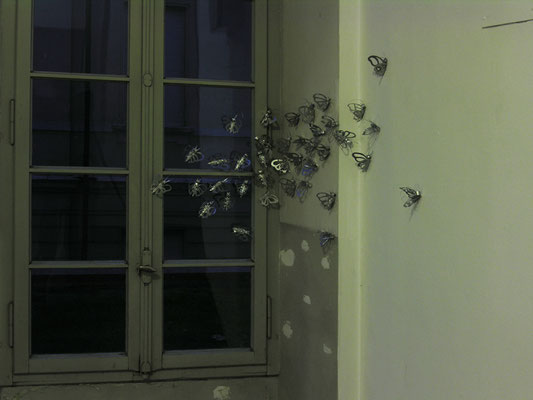  Butterfly Effects, 2009, silver enamel on paper, 140 elements, LA RADA, CENTER FOR CONTEMPORARY ART, Locarno, photo Miriam Steinhauser