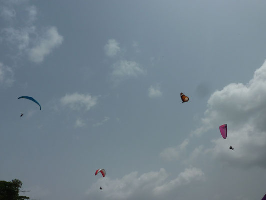 drei Paraglider in der Luft und dann ist mir noch ein Schmetterling durch's Bild geflattert