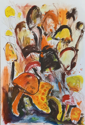 30 x 40