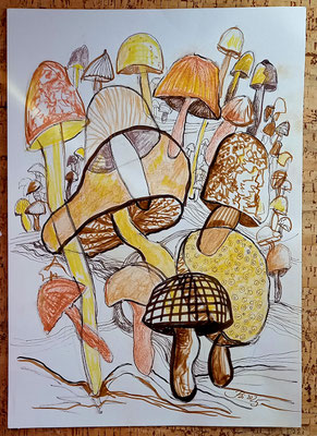 30 x 40
