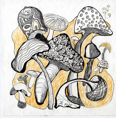 20 x 20 cm