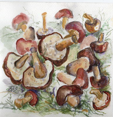 Maronen, Aquarell, 20 x 20 cm