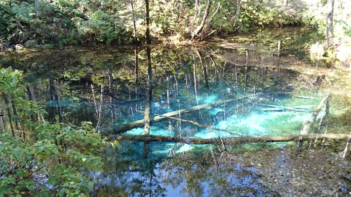 清里　God's Pond