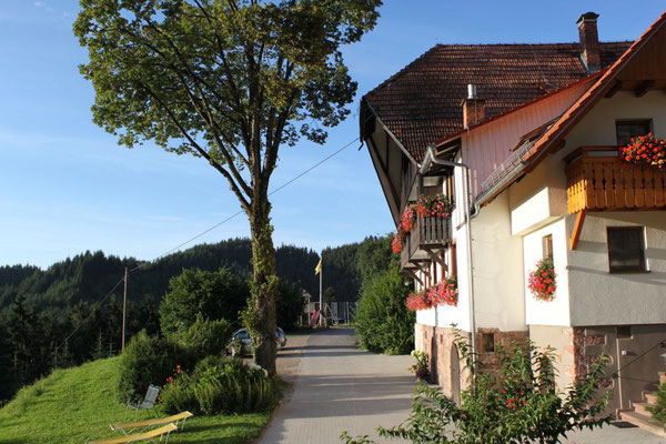 Ferienhof Hölzleberg - Ferienwohnung im Schwarzwald mit Pool, mit Schwimmbad, Ferienwohnung Schwarzwald von privat in Durbach - Hof Hölzleberg Ansicht Zufahrt