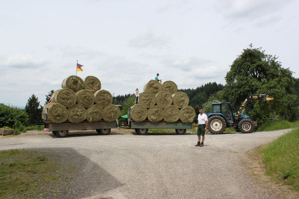 Ferienhof Hölzleberg - Ferienwohnung im Schwarzwald - Mitarbeit auf dem Hof bei der Heuernte