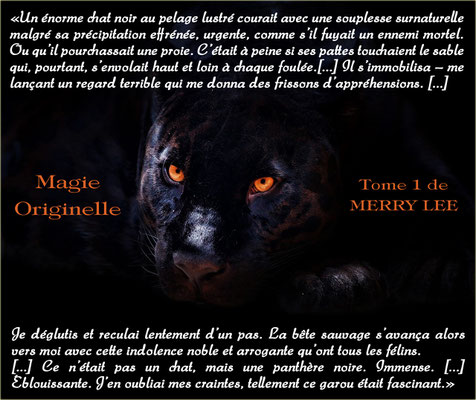 Magie Originelle, tome 1 de Merry Lee de Claytone Carpe