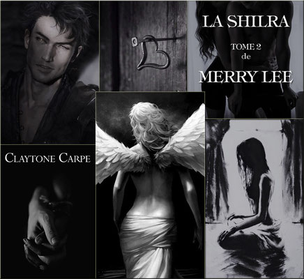 La Shirla, tome 2 de Merry Lee de Claytone Carpe