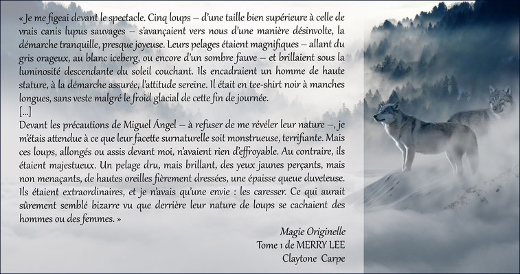Magie Originelle. Merry Lee - tome 1
