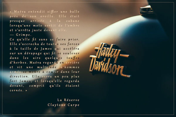Citation de La Réserve de Claytone Carpe