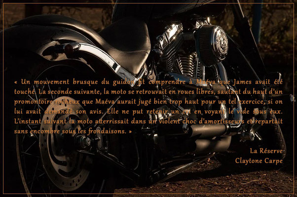 Citation de La Réserve de Claytone Carpe
