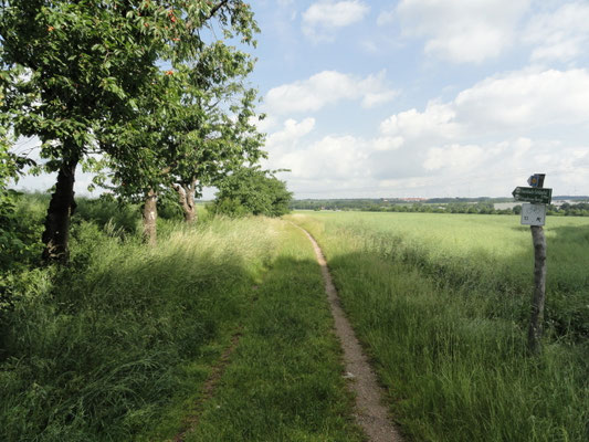 Görlitz - An der Stadtgrenze