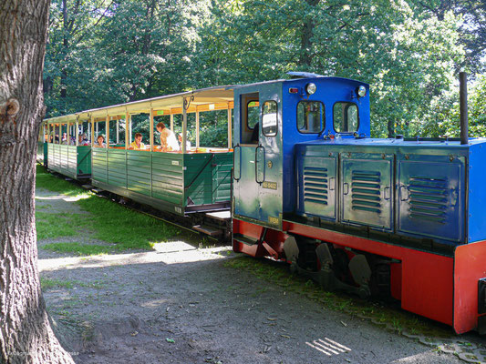Fahrt mit der Waldeisenbahn zum Rhododendronpark in Kromlau