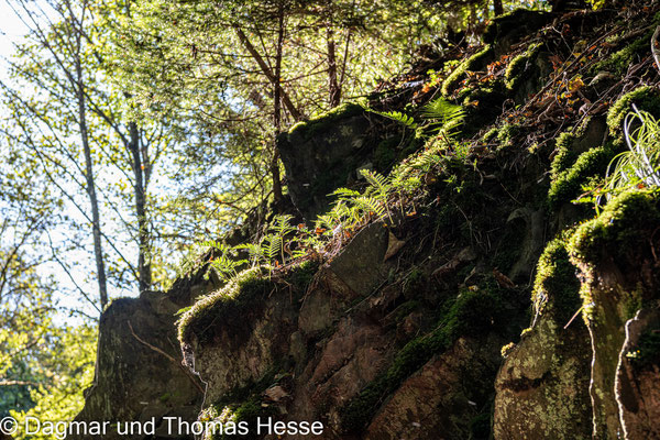 Wanderung entlang der Wilden Endert