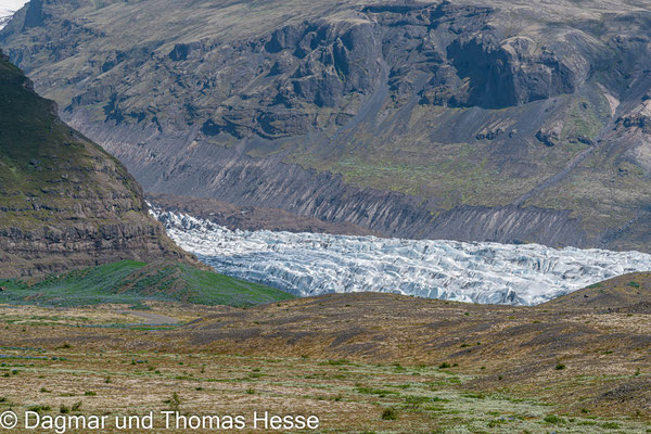 Gletscherzunge Svínafellsjökull
