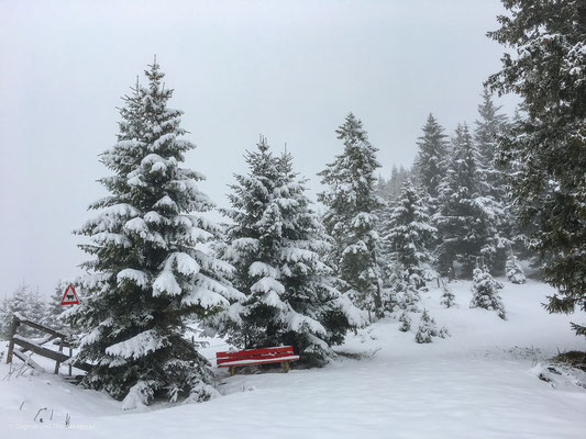 Später Wintereinbruch im Tannheimer Tal auf 1500 Meter Höhe - Ende April 2017
