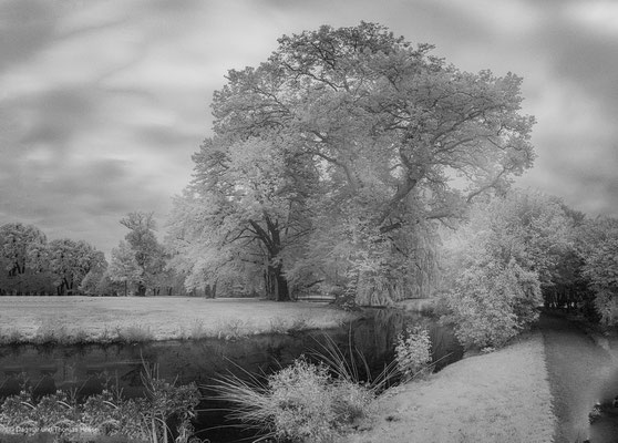 Bei der Eichwiese